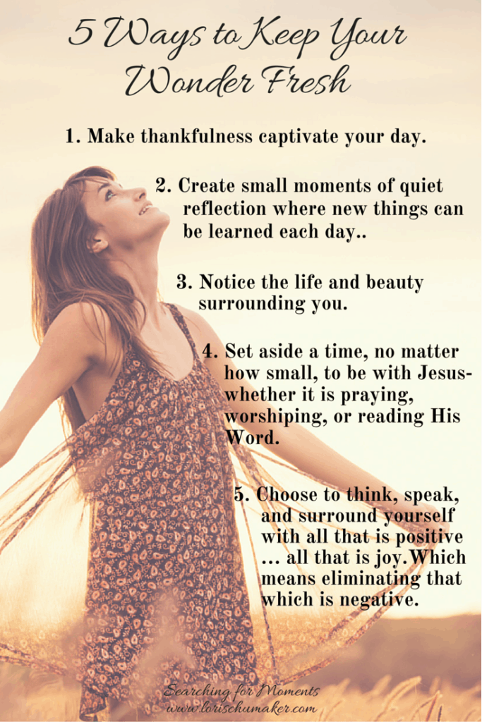 Have you stopped seeing the beauty and wonder in your everyday? Have you lost your joy? 5 Ways to Keep Your Wonder Fresh