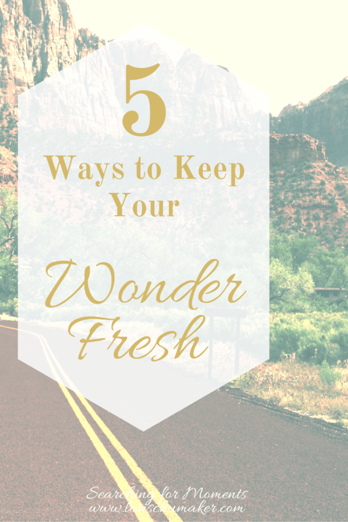 Have you stopped seeing the beauty and wonder in your everyday? Have you lost your joy? 5 Ways to Keep Your Wonder Fresh