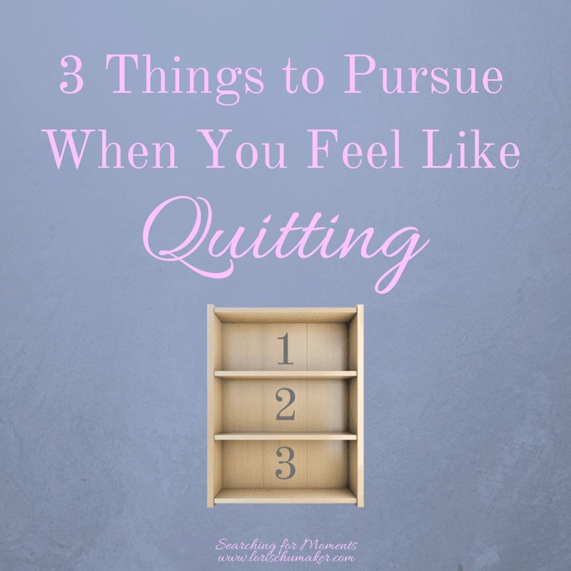 Have you hit a roadblock? Do you feel like quitting? Before you do, pursue these 3 things!