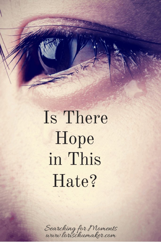 As a regular person, I can feel helpless and hopeless.What can we do in our everyday lives to help the devastation that is engulfing our country? -Is There Hope In This Hate - #MomentsofHope - Lori Schumaker 