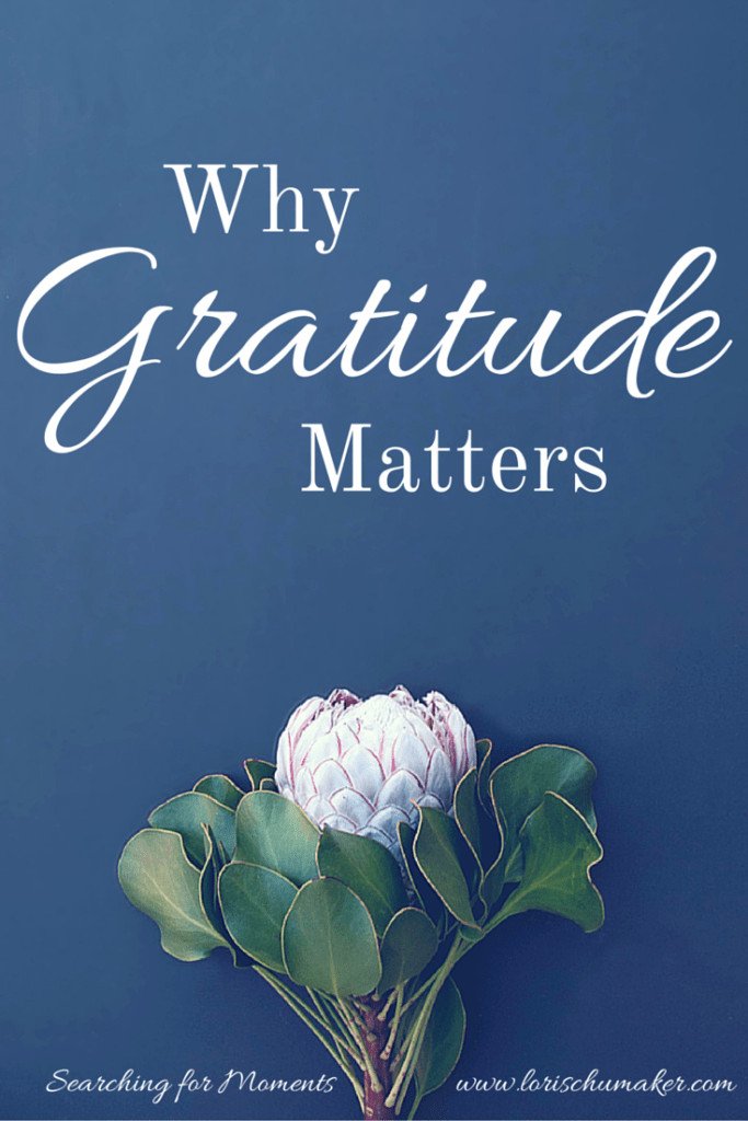 Now more than ever we need a little more happiness. That happiness starts with some searching. Some searching for the good in our lives. it starts with gratitude. Why Gratitude Matters { #MomentsofHope LInk-Up} - Lori Schumaker 
