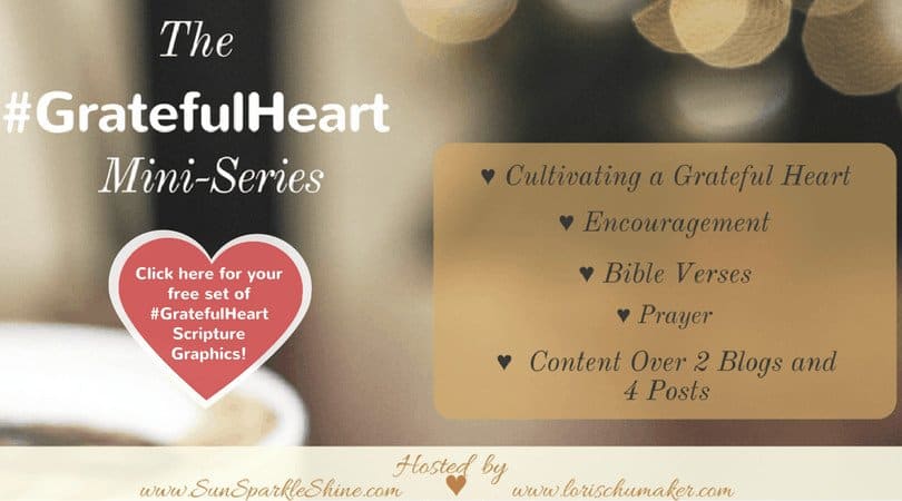 The Grateful Heart Mini-Series by Marva Smith of Sun Sparkle Shine and Lori Schumaker of Searching for Moments - Is your heart not in a place of gratitude right now? Do you need some encouragement? This series offers just that and more! #GratefulHeart