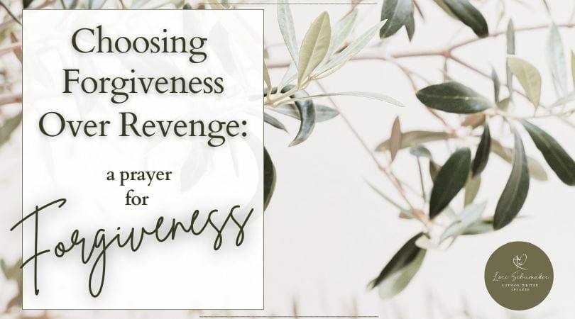 Sometimes forgiveness feels impossible? Why does God tell us it is a crucial part of our life as a follower of Jesus, though? How do we choose forgiveness over revenge? Join us for the series about overcoming betrayal, hurt, and rejection. And join us in this post to help you let go of the bitterness. Included is a prayer for forgiveness to begin your journey.