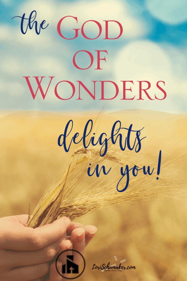 The God of Wonders Delights in You - Lori Schumaker