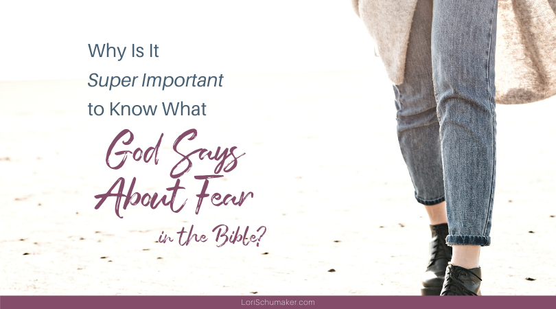 Do you know what God says about fear in the Bible? God doesn't want us to be afraid. He wants us to follow His word and find peace, for He is with us. We are not alone in our journey. Turn to scripture with these 10 verses about fear in the Bible and this prayer for strength in this and all trying times.