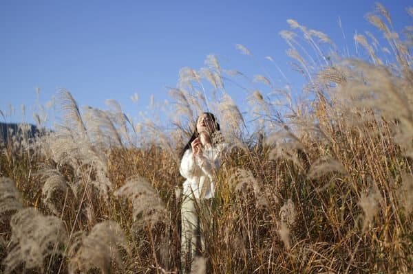 Serene scene of a woman standing amidst tall pampas grass in Atami, Japan, under a clear blue sky.